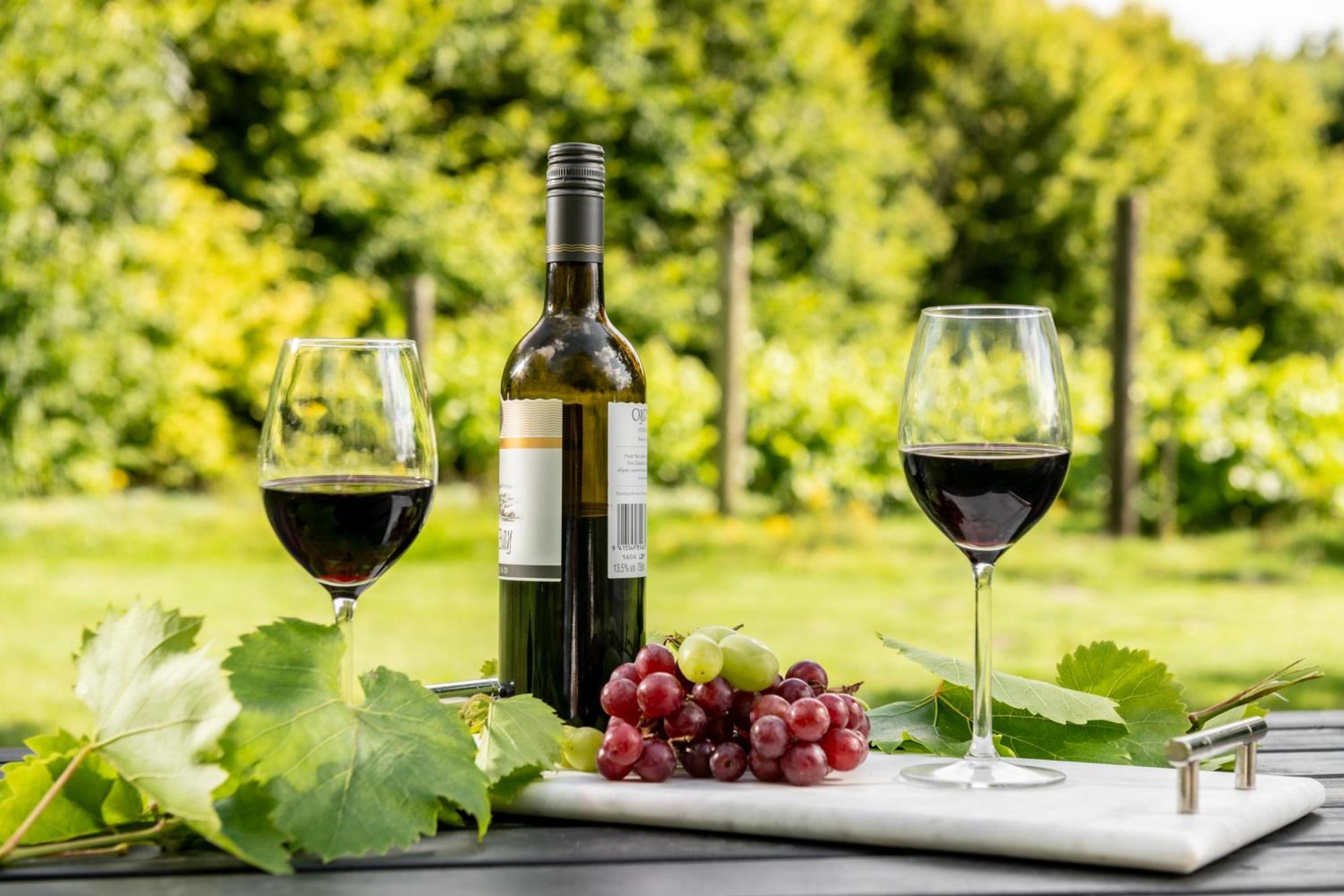 ブランドフォード・フォーラム Downwood Vineyard Manor In Idyllic Countrysideヴィラ エクステリア 写真